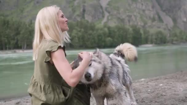 Girl Plays Fluffy Husky Dogs Sandy Bank River Background Mountains — Stock Video