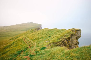 Puffinlerin yuva yaptığı uçurum, Avrupa, İzlanda 'nın en batı noktası.