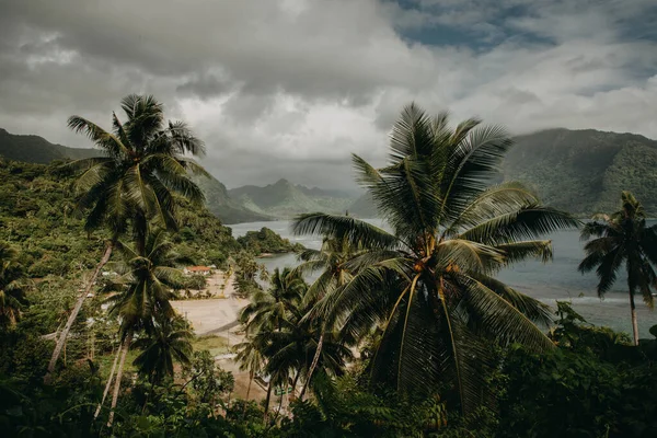 Tepeden Fagaloa Körfezi manzarası, Upolu, Samoa