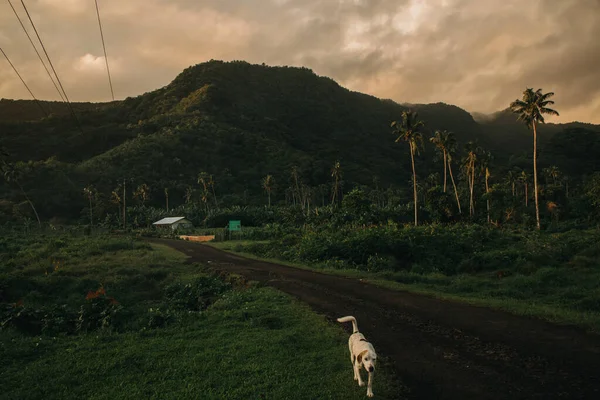 Uafato Körfezi kırsal kesiminde gün batımı, Upolu, Samoa