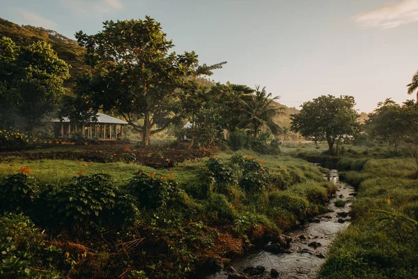 Geleneksel Samoa 'nın önde deresi, Upolu, Samoa