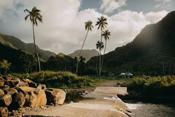 Ford nehrin akrobatı, Upolu, Samoa