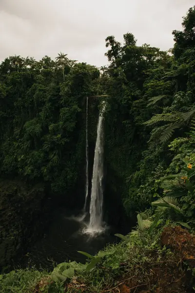 Şelalenin dikey fotoğrafı, Upolu, Samoa