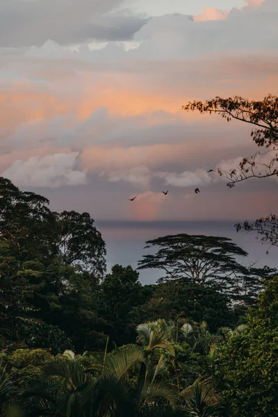 Gün batımında gökkuşağı boyunca uçan üç kuş, Tiapata, Upolu, Samoa