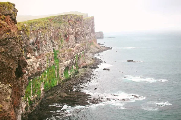 Puffinlerin yuvası, Avrupa 'nın en batı noktası, İzlanda.