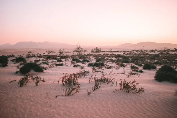 Çölde gün batımı, Fuerteventura, Kanarya Adaları