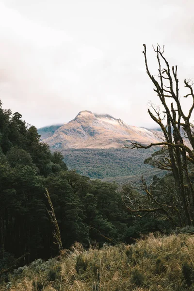 Uzakta tepe manzarası, Fiordland, Yeni Zelanda