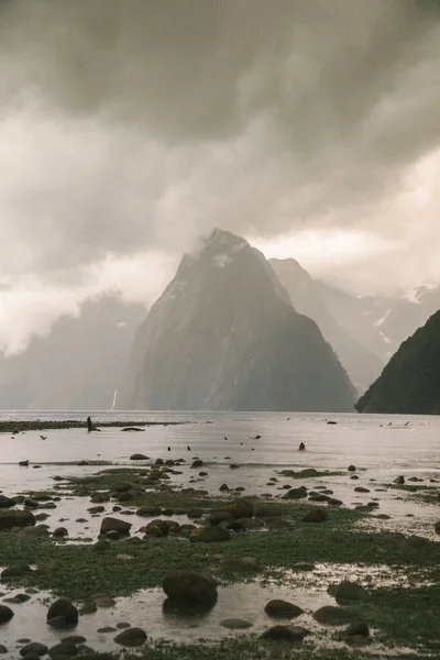 Milford Som Praia Fiordland Nova Zelândia — Fotografia de Stock