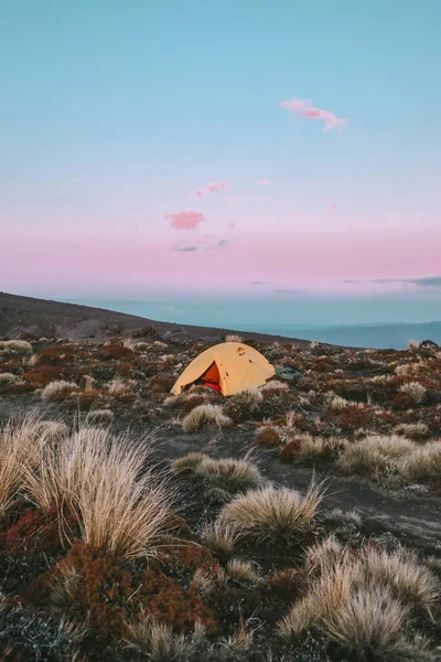 Çimlerde sarı çadır, Tongariro Milli Parkı, Yeni Zelanda