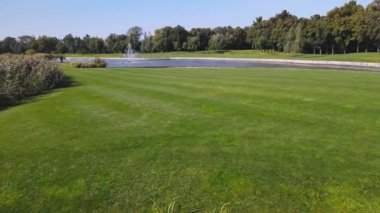 Dökümhaneli göl. Ördekler ve kuğular.