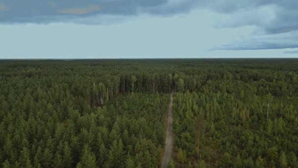 Blick Von Oben Auf Den Wald Blauer Himmel — Stockvideo