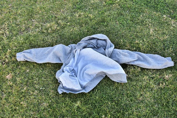 Suéter Gris Con Capucha Mangas Largas Encuentra Hierba Fresca Verde —  Fotos de Stock