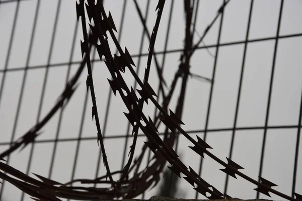 Metal Protective Wire Fence Jerusalem Israel March 2021 High Quality — Stock Photo, Image