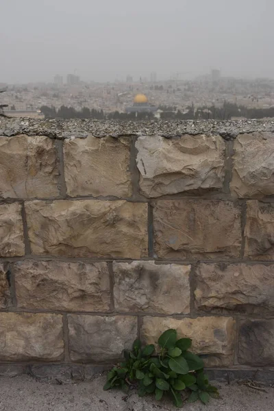 Jerusalem Israel März 2021 Blick Auf Die Altstadt Mit Der — Stockfoto