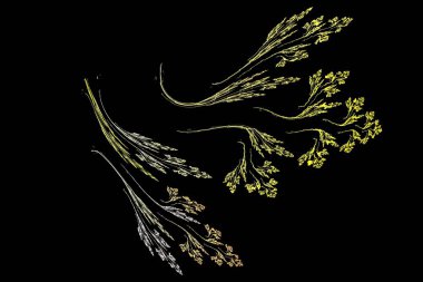 soyut arkaplan, 3 boyutlu illüstrasyon, grafik ve tasarım sanat projeleri için çok renkli fraktal eşsiz kompozisyon. Yüksek kalite