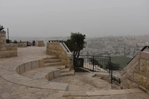 Ierusalim Israel Martie 2021 Copac Verde Puntea Observație Vedere Orașul — Fotografie, imagine de stoc