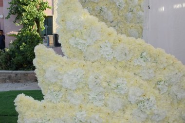 Beyaz ve sarı çiçekli arka plan, tasarım düğünü, yıldönümü, kartpostal. Yüksek kalite fotoğraf