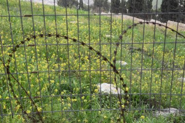 Çit boyunca metal koruyucu kablolar. Kudüs, İsrail 27 Mart 2021. Yüksek kalite fotoğraf
