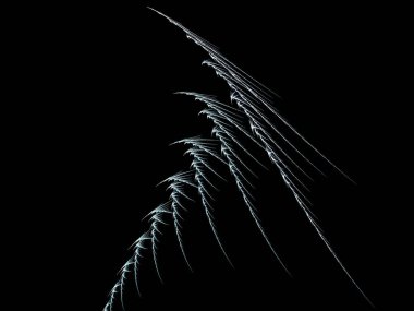 Soyut arkaplan, renkli fantastik doku, eşsiz sanat çizimi, grafik tasarım projeleri için fraktal. Yüksek kalite çizim. Yüksek kaliteli illüstrasyon