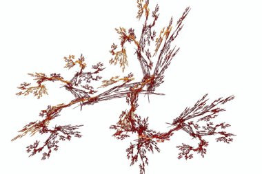 soyut arkaplan, benzersiz üç boyutlu illüstrasyon, grafik ve tasarım sanat projeleri için çok renkli fraktal kompozisyon. Yüksek kalite