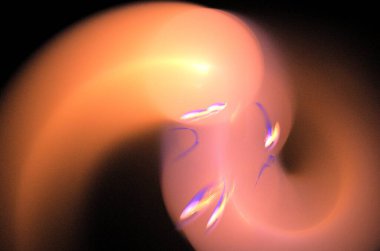 soyut arkaplan, benzersiz üç boyutlu illüstrasyon, grafik ve tasarım sanat projeleri için çok renkli fraktal kompozisyon. Yüksek kalite