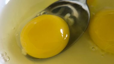 Yumurta sarısı kaşık kasesi taze yemek, ev yapımı yemek pişirme, yemek pişirme, kahvaltı tabağı, öğle yemeği, kafeterya. Yüksek kalite fotoğraf