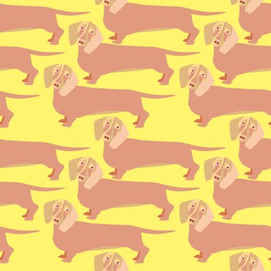 Kusursuz desenli bir köpek resmi, bir dachshund..