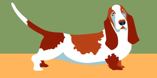 Eine Helle Vektorillustration Mit Dem Bild Eines Basset Hundes — Stockvektor