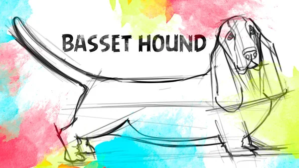 Raster Illustration Mit Dem Bild Eines Basset Hound Hundes Design — Stockfoto