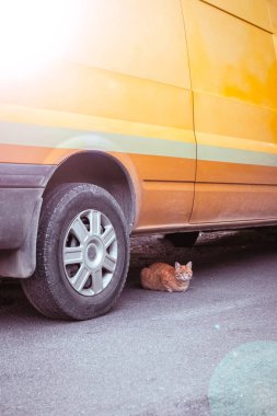 Yazın turuncu arabanın altındaki kırmızı kedi. Sarı çizgili, güneş ışınlı retro minibüs. Güzel, başıboş, kendine güvenen bir kedi. Kedi bir barınak ve gölge arıyor. Şehir hayvanları. Boşluğu kopyala