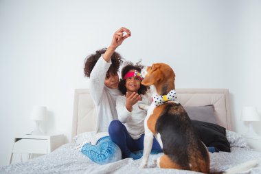 köpek besleme