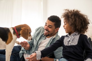 Onu evde beslenen hayvan besleme