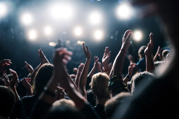 Festival folla godendo di partito — Foto Stock