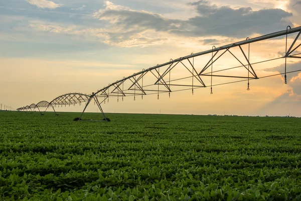 Irigationg sprinklers system — Stock Photo, Image