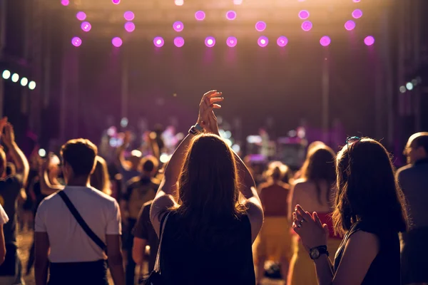 Happy festival crowd — Stock Photo, Image