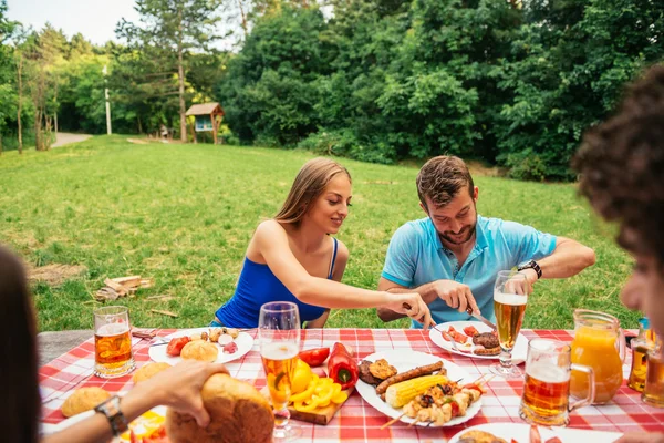 Día de picnic con amigos —  Fotos de Stock