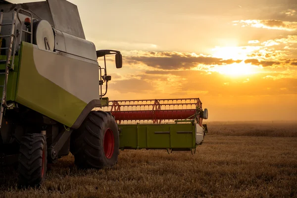 Cosechando el campo de trigo —  Fotos de Stock