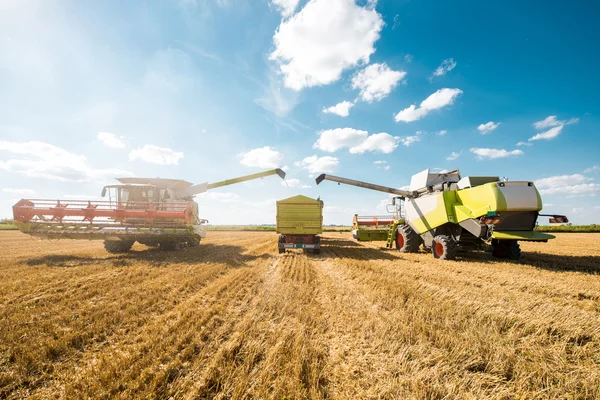 Cosechando el campo de trigo — Foto de Stock