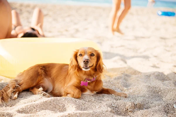 Godersi il tempo in spiaggia — Foto Stock