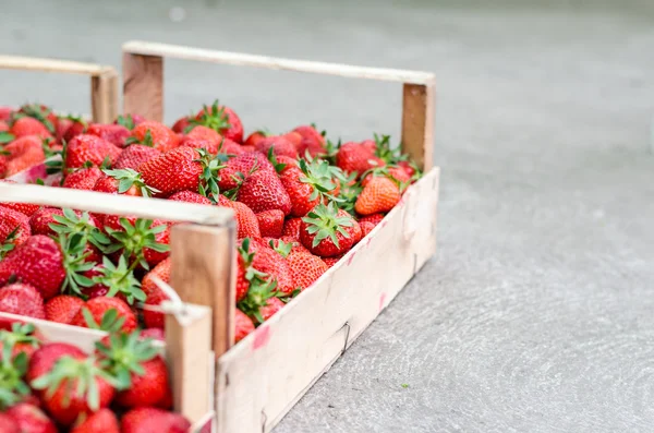 Rumah Grown Strawberry — Stok Foto