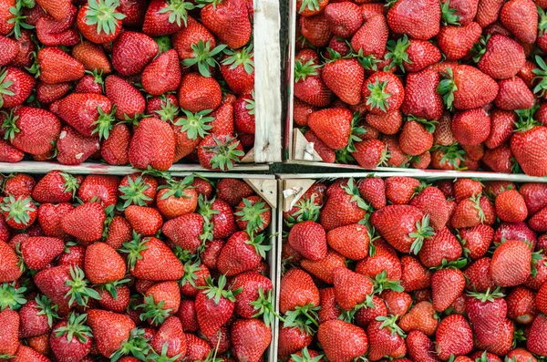 Composition de la caisse de fraises — Photo