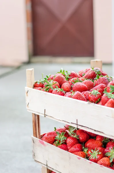 Fragole in una cassa — Foto Stock