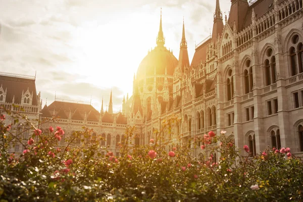 Budapest Pariliament — Stock Fotó