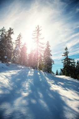 Kış manzarası ile lens flare