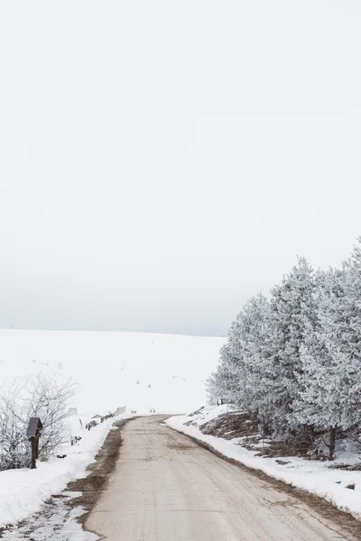 Winter road — Stock Photo, Image