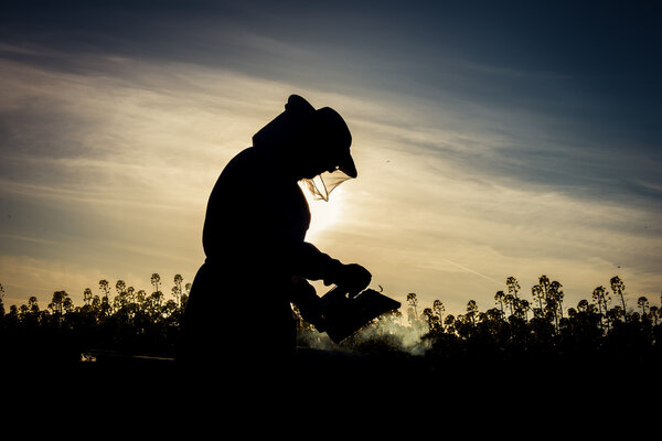 Working apiarist silhouette