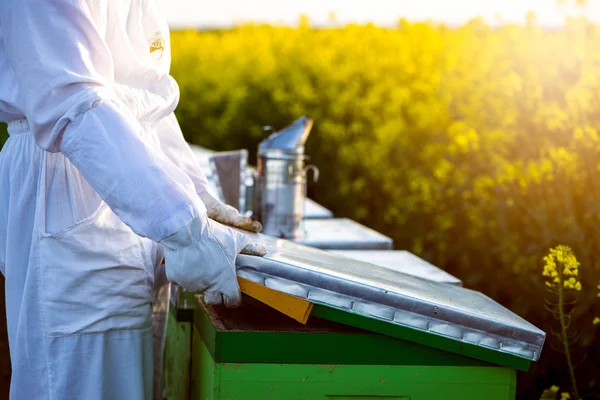 Öffnung des Bienenstocks — Stockfoto