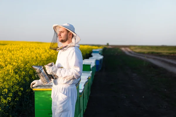 Young apiarist looking at the Sun — Stock Photo, Image