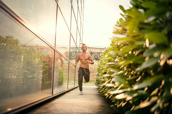 Young male jogging — Φωτογραφία Αρχείου