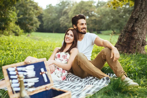 Perfect picnic afternoon — Stock Photo, Image